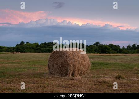 Heuballen im Feld bei Dämmerung, runder Heuballen auf flachem Feld und farbenfrohe, sonnige Wolken in der Dämmerung, ruhige ländliche Landschaft Stockfoto