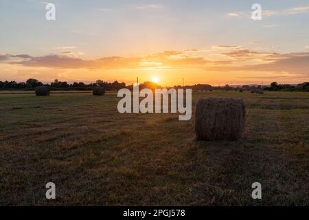 Runde Heuballen auf dem Feld bei goldenem Sonnenuntergang, Sonnenuntergang auf dem Land mit bunten Wolken Stockfoto