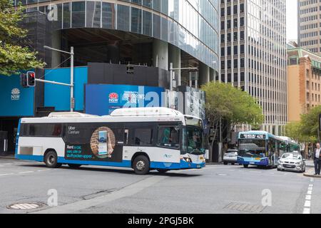 Sydney Eindeckerbusse, die durch das Stadtzentrum von Sydney fahren, vorbei am Sydney Metro-Projekt Horten, NSW, Australien, 2023 Stockfoto