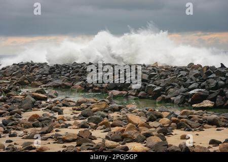 Morro Bay State Park in Kalifornien Stockfoto