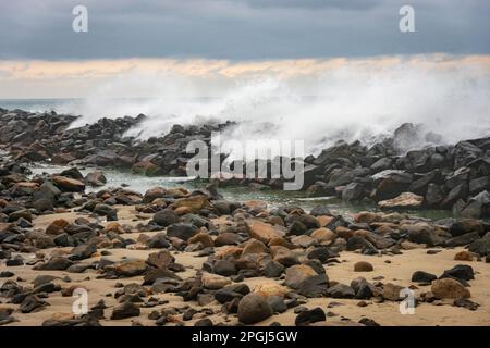 Morro Bay State Park in Kalifornien Stockfoto