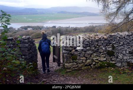 Einsame Frau, die durch das Holztor in Stone Wall geht und von Arnside Knott in Arnside, Cumbria, England, nach Red Hills Wood führt. Stockfoto