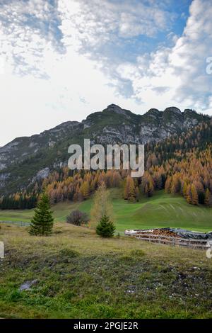 Atemberaubende Luftaufnahme der Dolomitenalpen bei sonnigem Herbsttag mit gelben Lärchen unten und Tal bedeckt von Nebel und hohen Berggipfeln dahinter. Corti Stockfoto