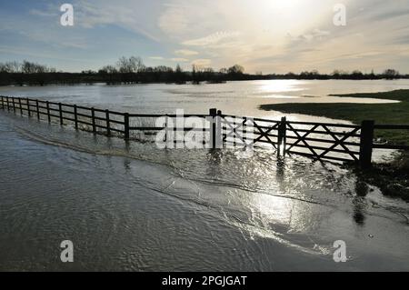 Überflutete Straße und Felder am Fluss Avon in Lacock, Wiltshire im Januar 2008. Stockfoto