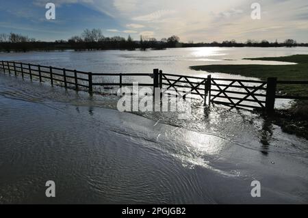 Überflutete Straße und Felder am Fluss Avon in Lacock, Wiltshire im Januar 2008. Stockfoto