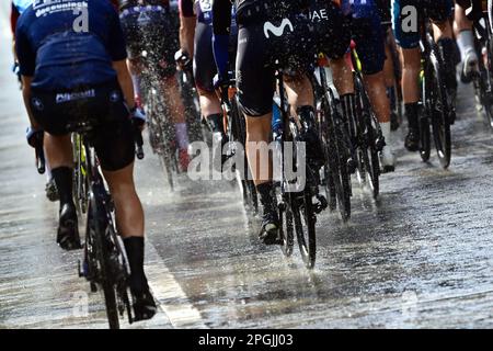 De Panne, Belgien. 23. März 2023. Das Reiterpaket, das während des eintägigen Frauenrennen „Classic Brügge-De Panne“ in Aktion gezeigt wurde, 159, 5 km von Brügge nach De Panne, Donnerstag, 23. März 2023. BELGA PHOTO DIRK WAEM Credit: Belga News Agency/Alamy Live News Stockfoto