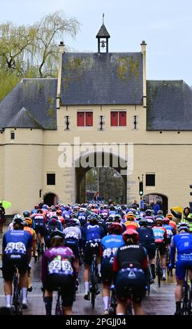 De Panne, Belgien. 23. März 2023. Das Reiterpaket, das während des eintägigen Frauenrennen „Classic Brügge-De Panne“ in Aktion gezeigt wurde, 159, 5 km von Brügge nach De Panne, Donnerstag, 23. März 2023. BELGA PHOTO DIRK WAEM Credit: Belga News Agency/Alamy Live News Stockfoto