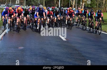De Panne, Belgien. 23. März 2023. Das Reiterpaket, das während des eintägigen Frauenrennen „Classic Brügge-De Panne“ in Aktion gezeigt wurde, 159, 5 km von Brügge nach De Panne, Donnerstag, 23. März 2023. BELGA PHOTO DIRK WAEM Credit: Belga News Agency/Alamy Live News Stockfoto