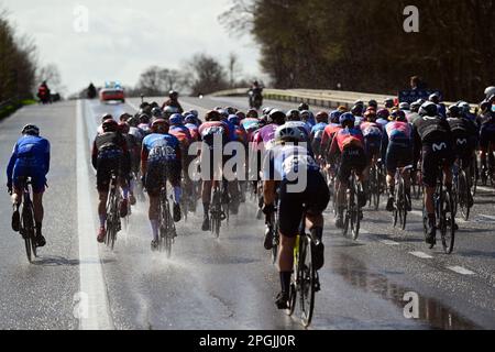 De Panne, Belgien. 23. März 2023. Das Reiterpaket, das während des eintägigen Frauenrennen „Classic Brügge-De Panne“ in Aktion gezeigt wurde, 159, 5 km von Brügge nach De Panne, Donnerstag, 23. März 2023. BELGA PHOTO DIRK WAEM Credit: Belga News Agency/Alamy Live News Stockfoto
