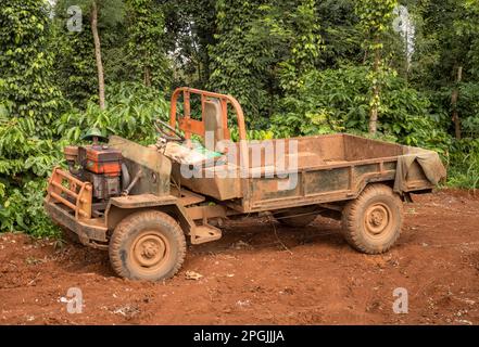 Ein ausgetretener selbstgemachter Truck steht neben Pfeffer- und Kaffeebäumen, die in Hoa Dong in der Nähe von Buon Ma Thuot im zentralen Hochland Vietnams wachsen. Stockfoto