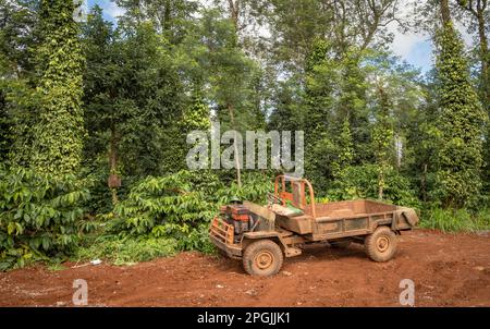 Ein ausgetretener selbstgemachter Truck steht neben Pfeffer- und Kaffeebäumen, die in Hoa Dong in der Nähe von Buon Ma Thuot im zentralen Hochland Vietnams wachsen. Stockfoto