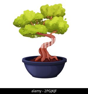 Bonsai-Baum mit gedrehtem Stamm, Laub in Keramiktopf im Cartoon-Stil, asiatische Mini-Pflanze isoliert auf weißem Hintergrund. Vektordarstellung Stock Vektor