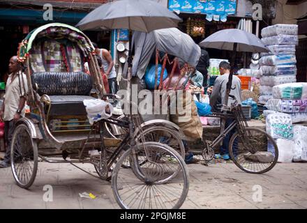 KATHMANDU, NEPAL - OKTOBER 2: Rikschas, der Sport für den Passagiertransport am 2,2013. Oktober in Delhi, Indien. Es wurden Fahrrad-Rikschas eingeführt Stockfoto