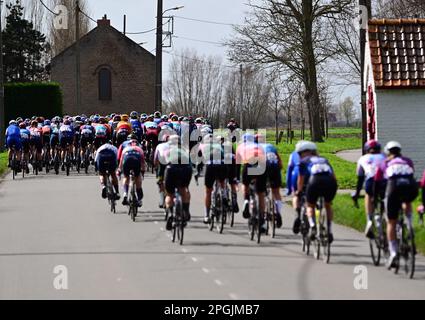 De Panne, Belgien. 23. März 2023. Das Reiterpaket, das während des eintägigen Frauenrennen „Classic Brügge-De Panne“ in Aktion gezeigt wurde, 159, 5 km von Brügge nach De Panne, Donnerstag, 23. März 2023. BELGA PHOTO DIRK WAEM Credit: Belga News Agency/Alamy Live News Stockfoto