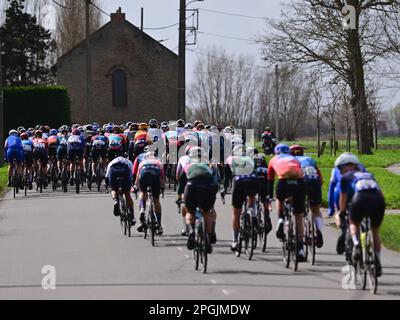 De Panne, Belgien. 23. März 2023. Das Reiterpaket, das während des eintägigen Frauenrennen „Classic Brügge-De Panne“ in Aktion gezeigt wurde, 159, 5 km von Brügge nach De Panne, Donnerstag, 23. März 2023. BELGA PHOTO DIRK WAEM Credit: Belga News Agency/Alamy Live News Stockfoto