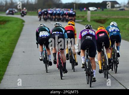 De Panne, Belgien. 23. März 2023. Das Reiterpaket, das während des eintägigen Frauenrennen „Classic Brügge-De Panne“ in Aktion gezeigt wurde, 159, 5 km von Brügge nach De Panne, Donnerstag, 23. März 2023. BELGA PHOTO DIRK WAEM Credit: Belga News Agency/Alamy Live News Stockfoto