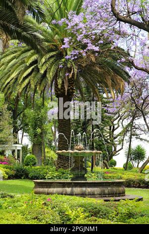 Tropischer Garten Los Pinos im Chapultepec Park in Mexiko-Stadt. Stockfoto