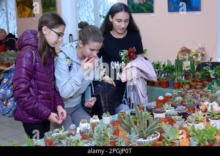 Im Blumenladen. Drei Mädchen stehen vor einem Stand mit Topfpflanzen und schauen sie an. Kiew, Ukraine. 12. Oktober 2018 Stockfoto