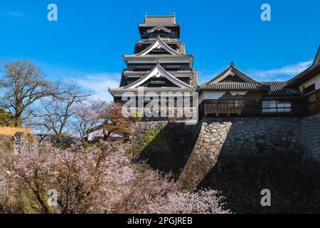 Tenshu vom Schloss Kumamoto in kumamoto, kyushu, japan Stockfoto