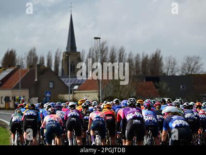 De Panne, Belgien. 23. März 2023. Das Reiterpaket, das während des eintägigen Frauenrennen „Classic Brügge-De Panne“ in Aktion gezeigt wurde, 159, 5 km von Brügge nach De Panne, Donnerstag, 23. März 2023. BELGA PHOTO DIRK WAEM Credit: Belga News Agency/Alamy Live News Stockfoto