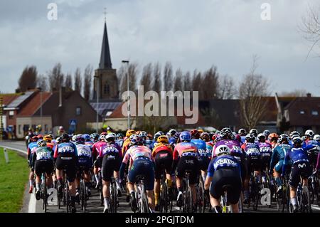De Panne, Belgien. 23. März 2023. Das Reiterpaket, das während des eintägigen Frauenrennen „Classic Brügge-De Panne“ in Aktion gezeigt wurde, 159, 5 km von Brügge nach De Panne, Donnerstag, 23. März 2023. BELGA PHOTO DIRK WAEM Credit: Belga News Agency/Alamy Live News Stockfoto