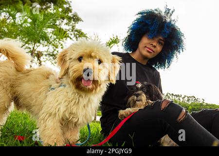 Goiania, Goias, Brasilien – 20. März 2023: Eine junge schwarze Frau mit lockigem Haar, blau gefärbt, die mit ihren Hunden auf dem Rasen eines Parks sitzt. Stockfoto