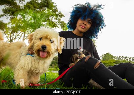 Goiania, Goias, Brasilien – 20. März 2023: Eine junge schwarze Frau mit lockigem Haar, blau gefärbt, die mit ihren Hunden auf dem Rasen eines Parks sitzt. Stockfoto
