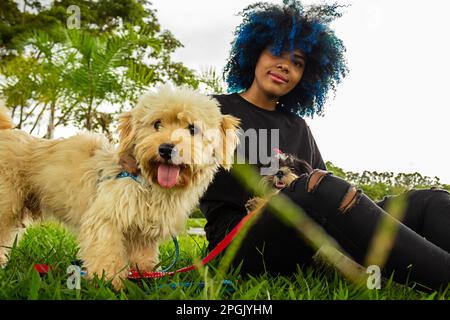 Goiania, Goias, Brasilien – 20. März 2023: Eine junge schwarze Frau mit lockigem Haar, blau gefärbt, die mit ihren Hunden auf dem Rasen eines Parks sitzt. Stockfoto