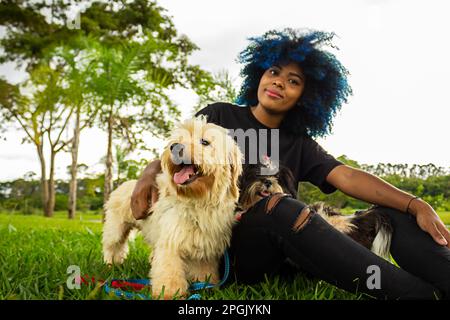 Goiania, Goias, Brasilien – 20. März 2023: Eine junge schwarze Frau mit lockigem Haar, blau gefärbt, die mit ihren Hunden auf dem Rasen eines Parks sitzt. Stockfoto