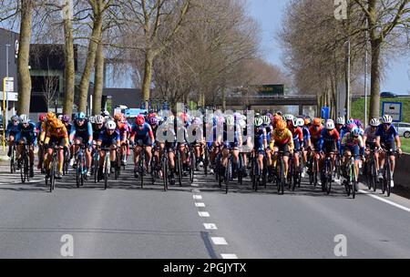 De Panne, Belgien. 23. März 2023. Das Reiterpaket, das während des eintägigen Frauenrennen „Classic Brügge-De Panne“ in Aktion gezeigt wurde, 159, 5 km von Brügge nach De Panne, Donnerstag, 23. März 2023. BELGA PHOTO DIRK WAEM Credit: Belga News Agency/Alamy Live News Stockfoto