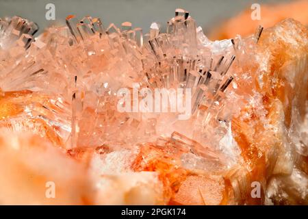 Klar Natrolith Kristalle auf Orange Gmelinite (von Little Deer Park Steinbruch, Glenarm, Nordirland) Stockfoto