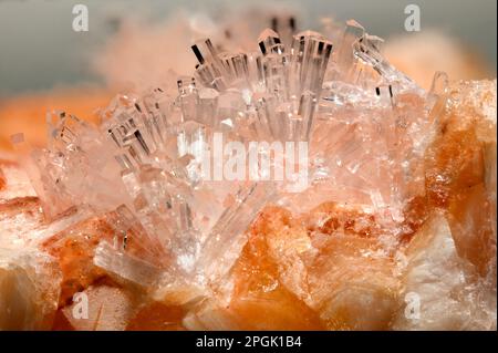 Klar Natrolith Kristalle auf Orange Gmelinite (von Little Deer Park Steinbruch, Glenarm, Nordirland) Stockfoto