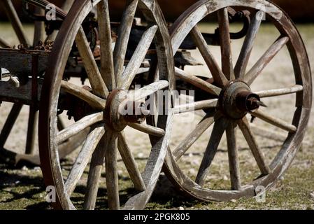 Altes Wagenrad aus Holz. Stockfoto