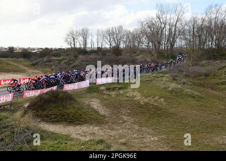 De Panne, Belgien. 23. März 2023. Das Reiterpaket, das während des eintägigen Frauenrennen „Classic Brügge-De Panne“ in Aktion gezeigt wurde, 159, 5 km von Brügge nach De Panne, Donnerstag, 23. März 2023. BELGA PHOTO DIRK WAEM Credit: Belga News Agency/Alamy Live News Stockfoto