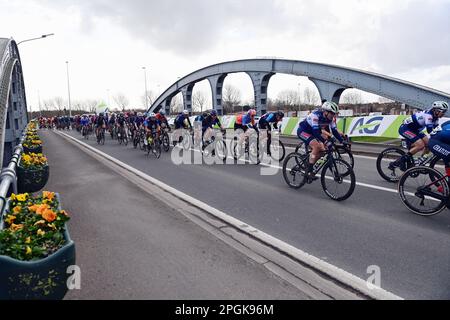 De Panne, Belgien. 23. März 2023. Das Reiterpaket, das während des eintägigen Frauenrennen „Classic Brügge-De Panne“ in Aktion gezeigt wurde, 159, 5 km von Brügge nach De Panne, Donnerstag, 23. März 2023. BELGA PHOTO DIRK WAEM Credit: Belga News Agency/Alamy Live News Stockfoto