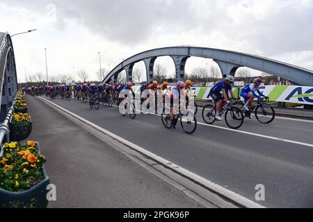 De Panne, Belgien. 23. März 2023. Das Reiterpaket, das während des eintägigen Frauenrennen „Classic Brügge-De Panne“ in Aktion gezeigt wurde, 159, 5 km von Brügge nach De Panne, Donnerstag, 23. März 2023. BELGA PHOTO DIRK WAEM Credit: Belga News Agency/Alamy Live News Stockfoto