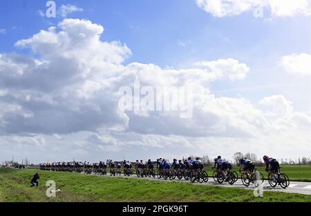 De Panne, Belgien. 23. März 2023. Das Reiterpaket, das während des eintägigen Frauenrennen „Classic Brügge-De Panne“ in Aktion gezeigt wurde, 159, 5 km von Brügge nach De Panne, Donnerstag, 23. März 2023. BELGA PHOTO DIRK WAEM Credit: Belga News Agency/Alamy Live News Stockfoto