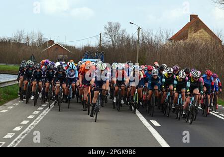 De Panne, Belgien. 23. März 2023. Das Reiterpaket, das während des eintägigen Frauenrennen „Classic Brügge-De Panne“ in Aktion gezeigt wurde, 159, 5 km von Brügge nach De Panne, Donnerstag, 23. März 2023. BELGA PHOTO DIRK WAEM Credit: Belga News Agency/Alamy Live News Stockfoto