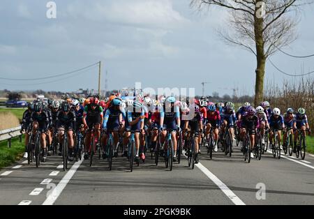 De Panne, Belgien. 23. März 2023. Das Reiterpaket, das während des eintägigen Frauenrennen „Classic Brügge-De Panne“ in Aktion gezeigt wurde, 159, 5 km von Brügge nach De Panne, Donnerstag, 23. März 2023. BELGA PHOTO DIRK WAEM Credit: Belga News Agency/Alamy Live News Stockfoto
