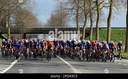 De Panne, Belgien. 23. März 2023. Das Reiterpaket, das während des eintägigen Frauenrennen „Classic Brügge-De Panne“ in Aktion gezeigt wurde, 159, 5 km von Brügge nach De Panne, Donnerstag, 23. März 2023. BELGA PHOTO DIRK WAEM Credit: Belga News Agency/Alamy Live News Stockfoto