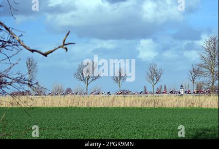 De Panne, Belgien. 23. März 2023. Das Reiterpaket, das während des eintägigen Frauenrennen „Classic Brügge-De Panne“ in Aktion gezeigt wurde, 159, 5 km von Brügge nach De Panne, Donnerstag, 23. März 2023. BELGA PHOTO DIRK WAEM Credit: Belga News Agency/Alamy Live News Stockfoto
