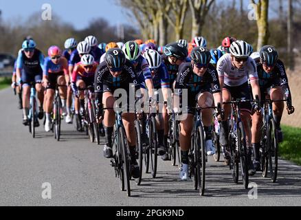 De Panne, Belgien. 23. März 2023. Das Reiterpaket, das während des eintägigen Frauenrennen „Classic Brügge-De Panne“ in Aktion gezeigt wurde, 159, 5 km von Brügge nach De Panne, Donnerstag, 23. März 2023. BELGA PHOTO DIRK WAEM Credit: Belga News Agency/Alamy Live News Stockfoto