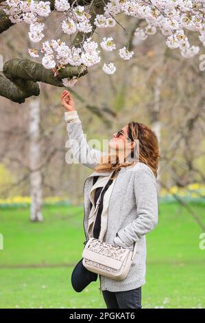 London, Großbritannien. 23. März 2023. Die Menschen genießen heute Nachmittag die Sonne, die milden Temperaturen und die Frühlingsblüte im St. James' Park im Zentrum von London. Kredit: Imageplotter/Alamy Live News Stockfoto