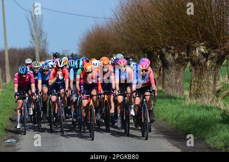 De Panne, Belgien. 23. März 2023. Das Reiterpaket, das während des eintägigen Frauenrennen „Classic Brügge-De Panne“ in Aktion gezeigt wurde, 159, 5 km von Brügge nach De Panne, Donnerstag, 23. März 2023. BELGA PHOTO DIRK WAEM Credit: Belga News Agency/Alamy Live News Stockfoto