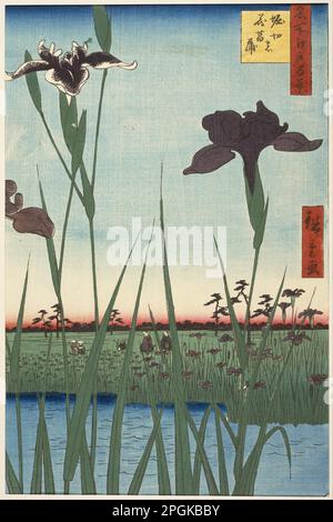 Horikiri Iris Garten (Horikiri no hanashōbu), aus der Serie einhundert berühmte Ausblicke auf Edo (Meisho Edo hyakkei) 1857 (Ansei 4), interkalarisch 5. Monat von Utagawa Hiroshige Stockfoto