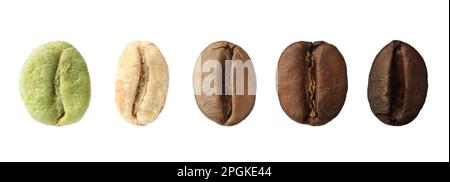 Schritte beim Rösten von Kaffeebohnen auf weißem Hintergrund, Collage. Bannerdesign Stockfoto