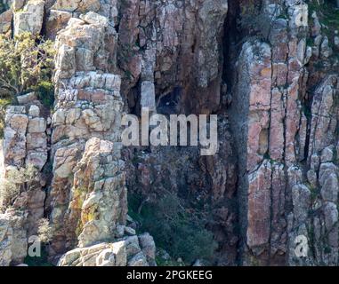 Parte del macizo Rokoko, „Salto del Gitano“. En el Centro de la fotografía, un nido con cigüeñas negras. Parque Nacional de Monfragüe, Cáceres Stockfoto