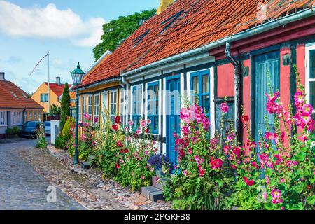 Traditionelle Stadtstraßen, die von bunten Blüten auf der Insel Bornholm, Dänemark, geprägt sind. Stockfoto