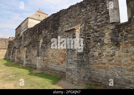 Stützpfeiler an einer alten Mauer im Kloster Cârța, Rumänien Stockfoto