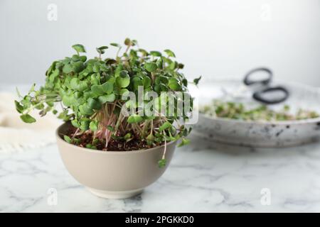 Frische Rettich-Mikrogreens in Schüssel auf weißem Marmortisch, Platz für Text Stockfoto